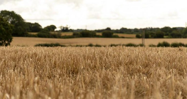 NFU joins project to help farmers get to net zero through diversifying