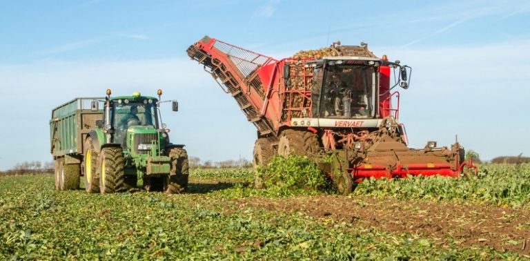 Sugar beet growers enlist MP help to secure fair price from sole UK buyer