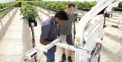 Lincoln specialists assist in roll-out of farming industry tech to alleviate labour shortages