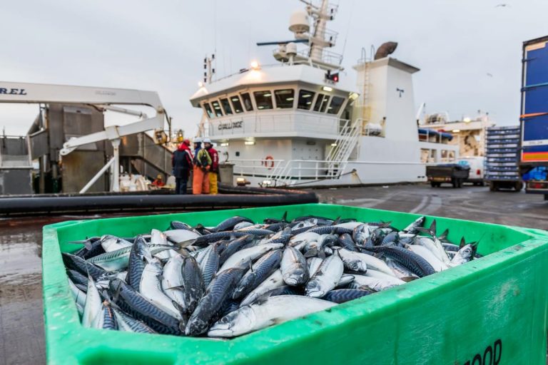 Seafood industry’s challenges come into focus in new report