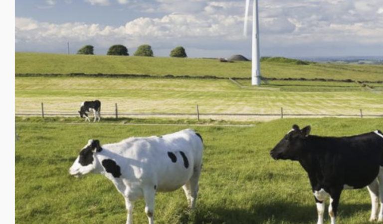 Farmers’ Friday deadline approaches for free energy efficiency assessment