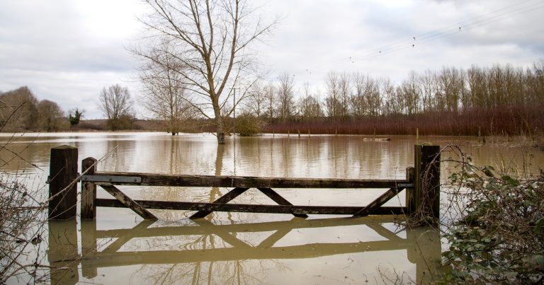 Internal Drainage Boards to get share of £50m to protect rural businesses from flooding